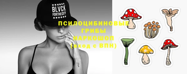 дживик Зерноград